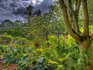 Preview wallpaper trees, garden, bushes, greens, clouds