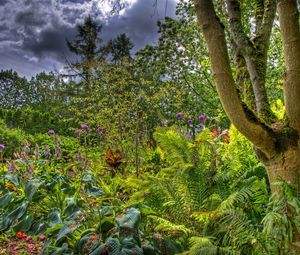 Preview wallpaper trees, garden, bushes, greens, clouds