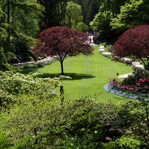 Preview wallpaper trees, garden, lawn, flowers, registration, summer