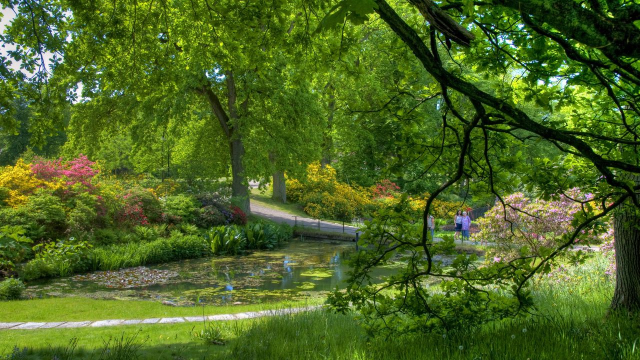 Wallpaper trees, garden, pond, people, green, serenity
