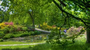 Preview wallpaper trees, garden, pond, people, green, serenity