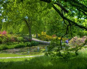 Preview wallpaper trees, garden, pond, people, green, serenity