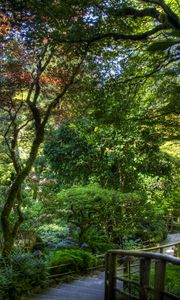 Preview wallpaper trees, garden, steps, handrail, shadow, green