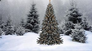 Preview wallpaper trees, garland, star, snow, winter, forest, new year, christmas