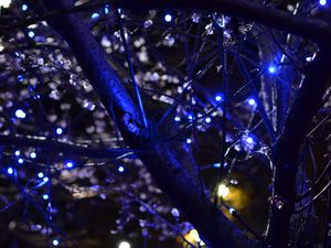 Preview wallpaper trees, garlands, flowers, lights, illumination