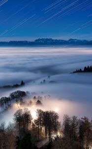 Preview wallpaper trees, glow, fog, nature