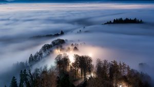 Preview wallpaper trees, glow, fog, nature