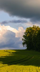 Preview wallpaper trees, grass, field, landscape