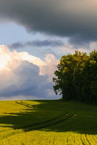 Preview wallpaper trees, grass, field, landscape