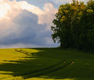 Preview wallpaper trees, grass, field, landscape