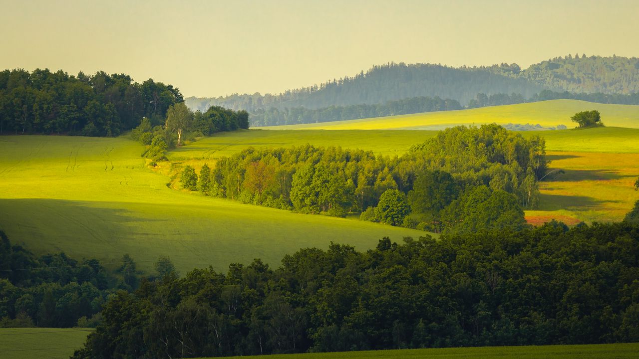 Wallpaper trees, grass, field, nature, green