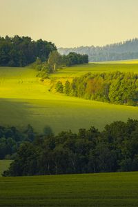 Preview wallpaper trees, grass, field, nature, green
