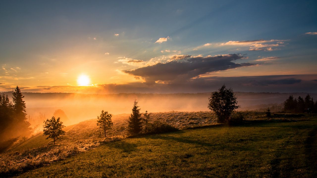 Wallpaper trees, grass, hills, fog, sunrise