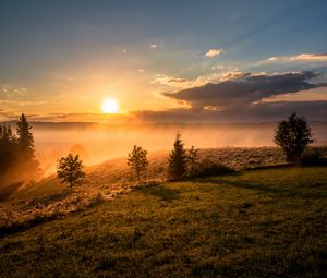 Preview wallpaper trees, grass, hills, fog, sunrise