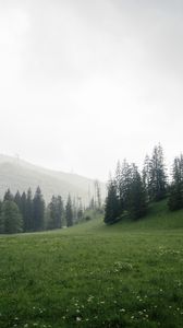 Preview wallpaper trees, grass, meadow, hills, nature