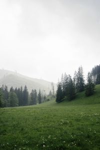 Preview wallpaper trees, grass, meadow, hills, nature