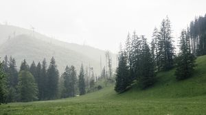Preview wallpaper trees, grass, meadow, hills, nature