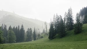 Preview wallpaper trees, grass, meadow, hills, nature