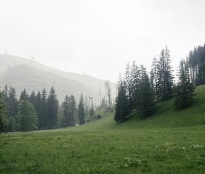 Preview wallpaper trees, grass, meadow, hills, nature