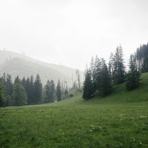 Preview wallpaper trees, grass, meadow, hills, nature