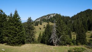 Preview wallpaper trees, grass, mountains, hills, landscape, nature