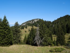 Preview wallpaper trees, grass, mountains, hills, landscape, nature