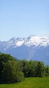 Preview wallpaper trees, grass, mountains, snow, landscape