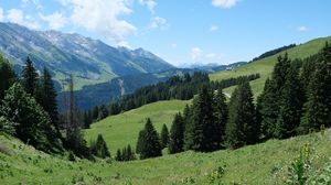 Preview wallpaper trees, grass, mountains, landscape