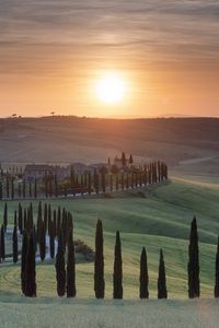Preview wallpaper trees, grass, road, sunrise, tuscany, italy