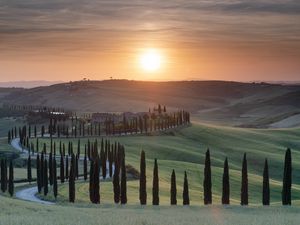 Preview wallpaper trees, grass, road, sunrise, tuscany, italy