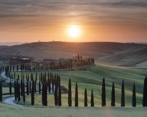 Preview wallpaper trees, grass, road, sunrise, tuscany, italy