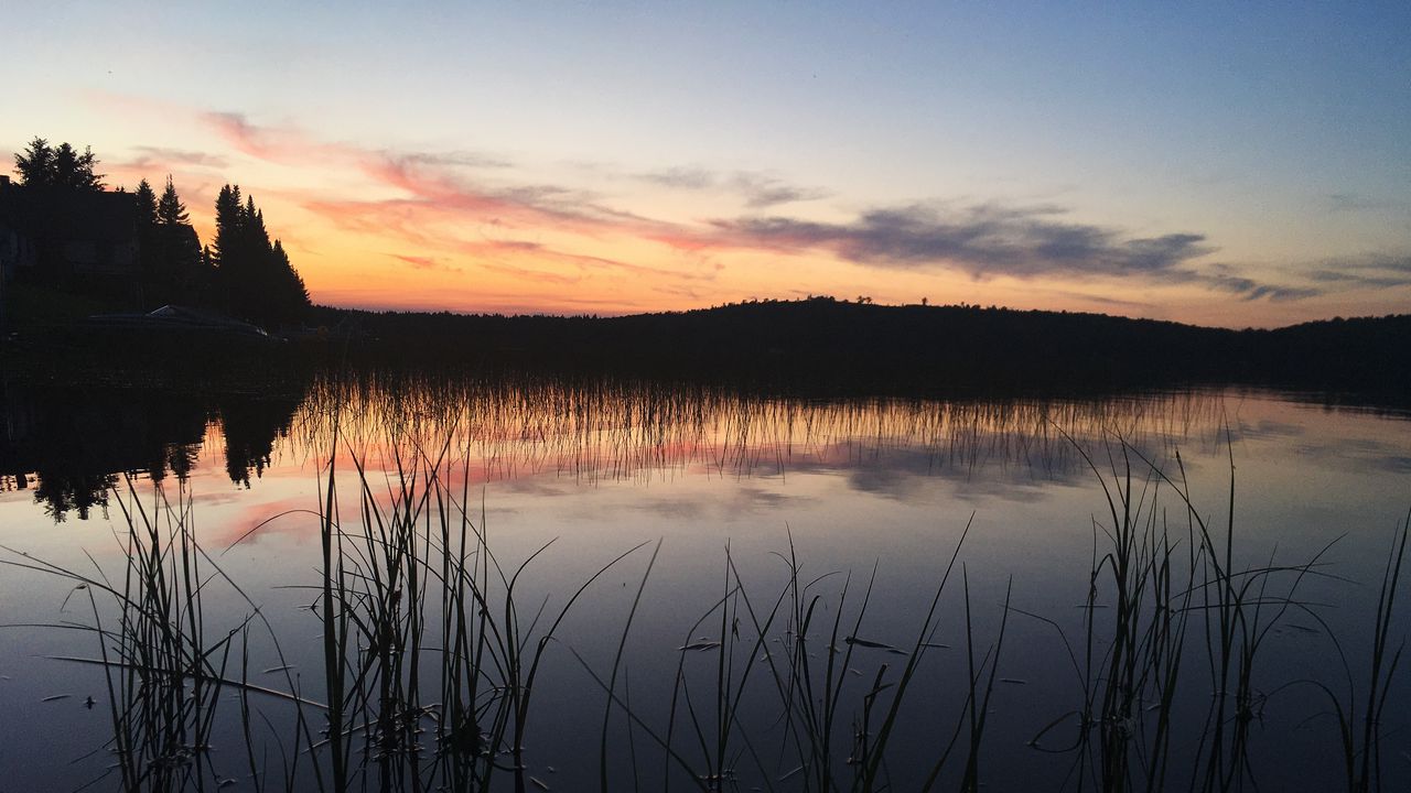 Wallpaper trees, grass, silhouettes, lake, twilight, dark