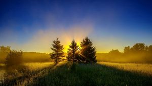 Preview wallpaper trees, grass, sunset, sky