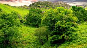 Preview wallpaper trees, green, brightly, grass, summer, mountains, relief, lowland, landscape, sky
