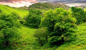 Preview wallpaper trees, green, brightly, grass, summer, mountains, relief, lowland, landscape, sky