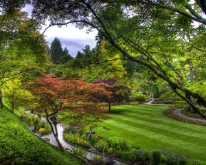 Preview wallpaper trees, green, lawn, garden, path, from above, strips