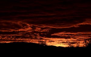 Preview wallpaper trees, hill, clouds, sky, sunset, dark