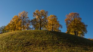 Preview wallpaper trees, hill, grass, sky