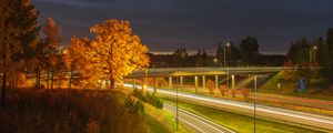 Preview wallpaper trees, hill, grass, night, autumn