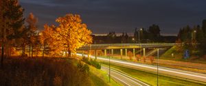 Preview wallpaper trees, hill, grass, night, autumn