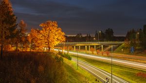 Preview wallpaper trees, hill, grass, night, autumn