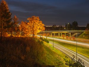 Preview wallpaper trees, hill, grass, night, autumn