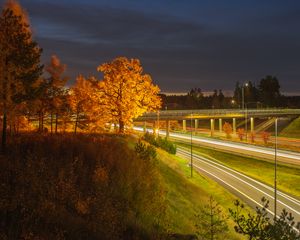 Preview wallpaper trees, hill, grass, night, autumn