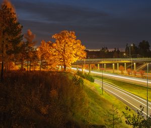 Preview wallpaper trees, hill, grass, night, autumn