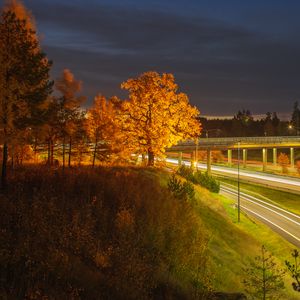 Preview wallpaper trees, hill, grass, night, autumn