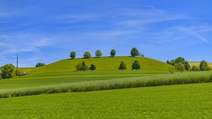 Preview wallpaper trees, hill, grass, nature