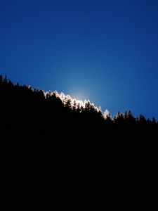 Preview wallpaper trees, hill, light, sky, line