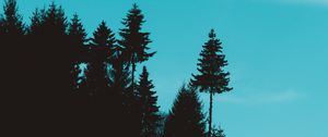 Preview wallpaper trees, hill, silhouettes, sky, dark