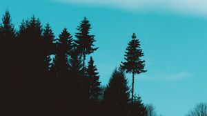Preview wallpaper trees, hill, silhouettes, sky, dark