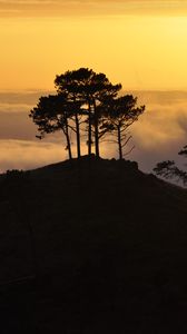 Preview wallpaper trees, hill, silhouettes, clouds, nature, dark